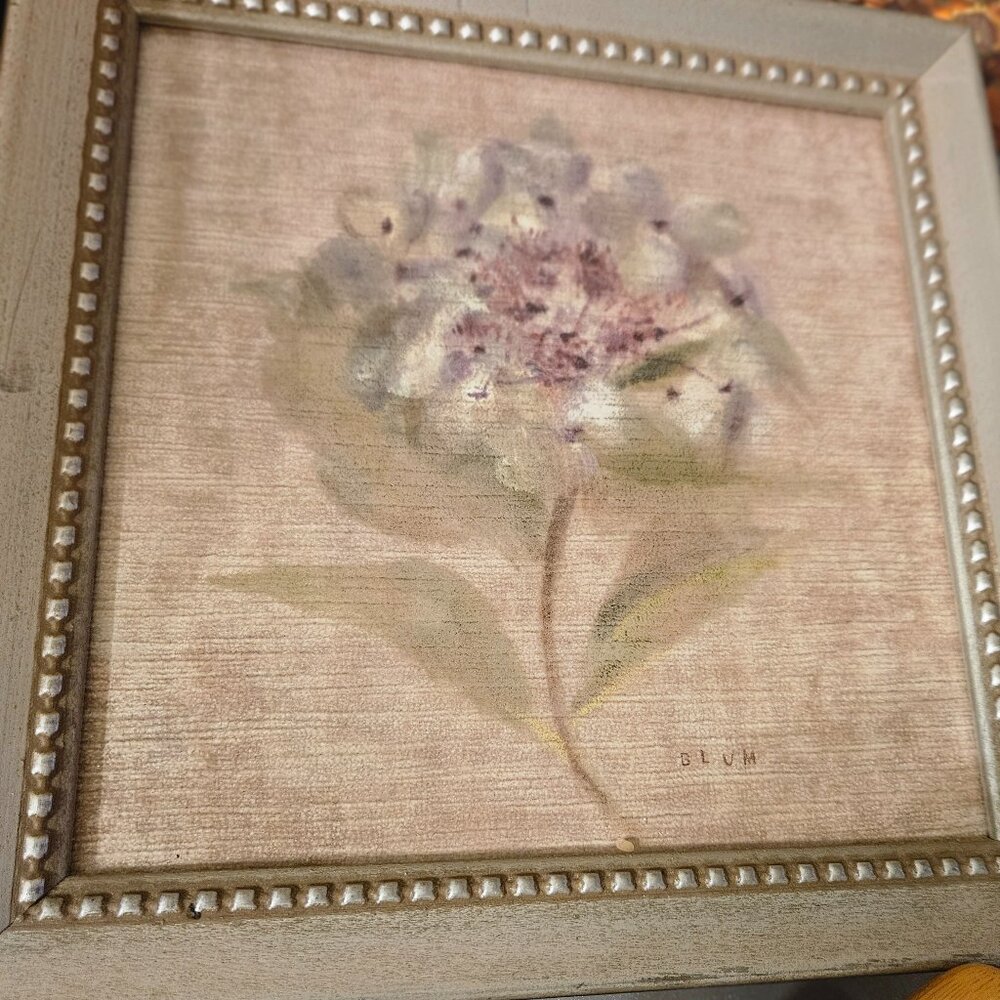 framed art print whitewashed hydrangea by Cheri Blum